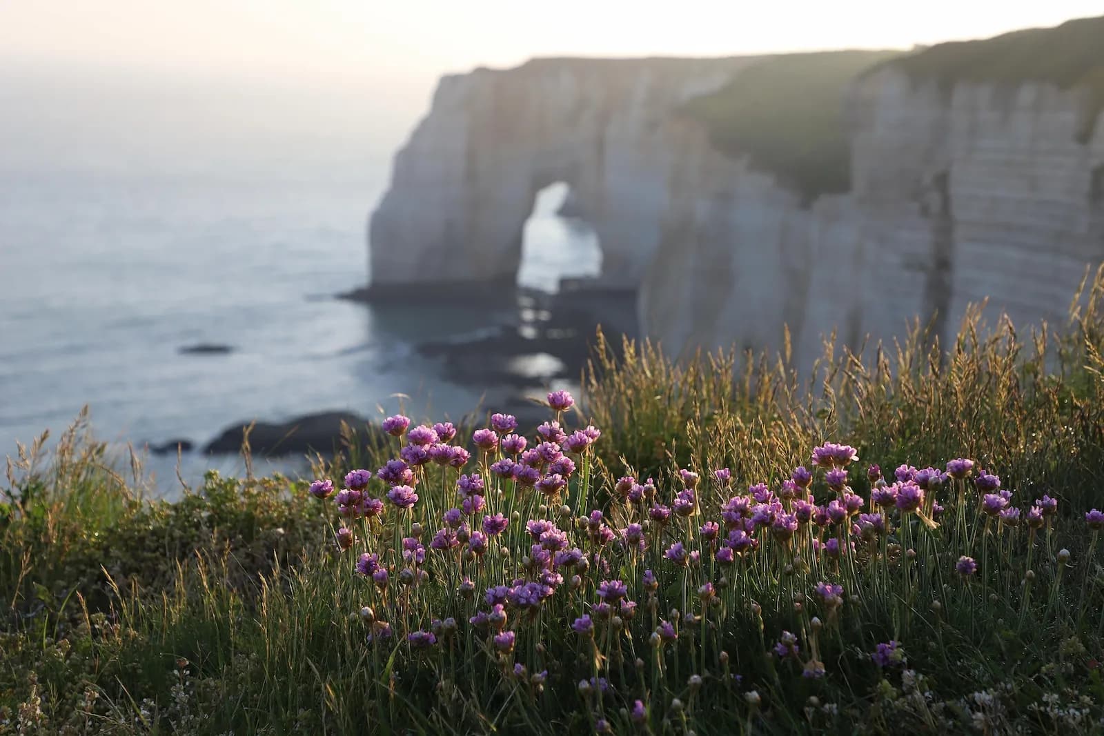 Projet écologique en Normandie