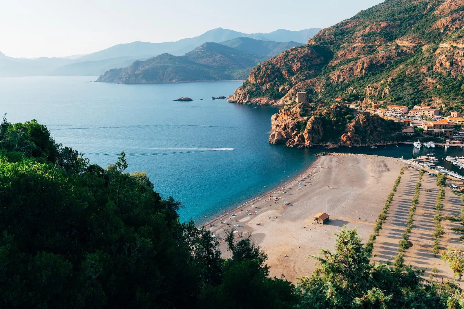 Reboisement en Corse