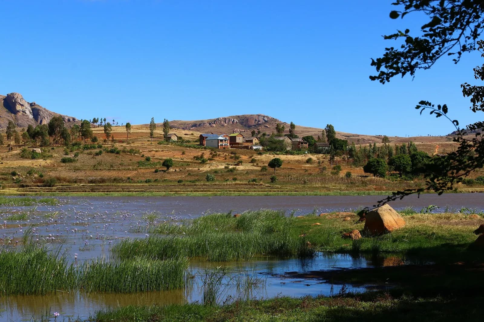 Reforestation à Madagascar