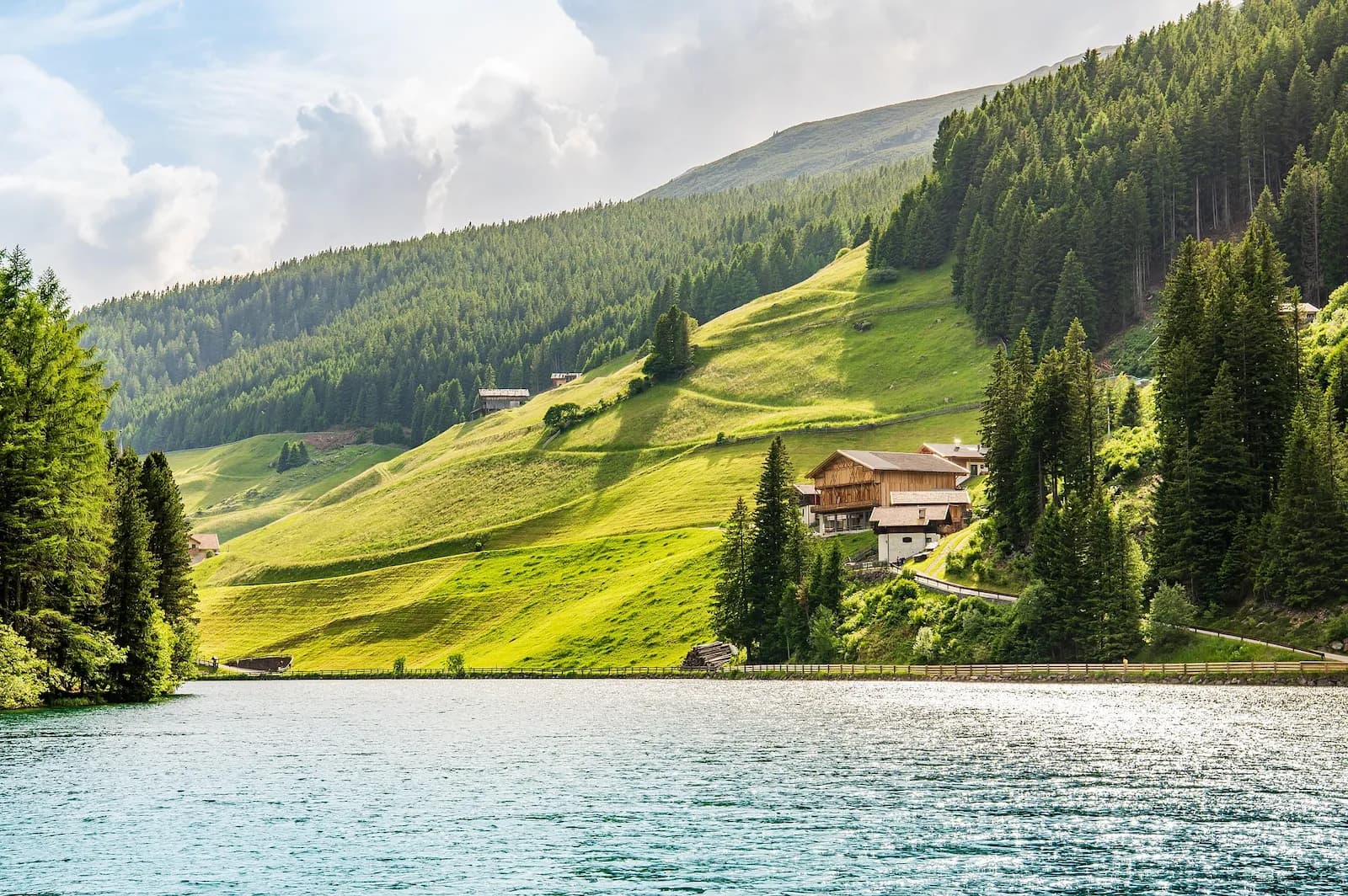 Restauration forestière dans les Alpes