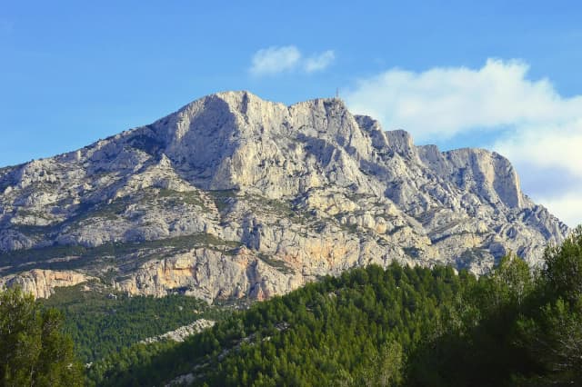 Forêt méditerranéenne en Provence